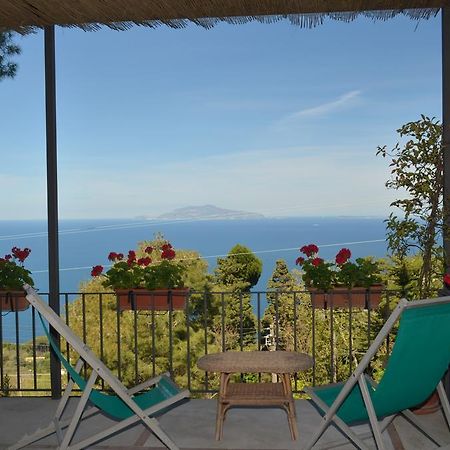 Le Ginestre Di Capri Bb & Holiday House Anacapri  Ngoại thất bức ảnh