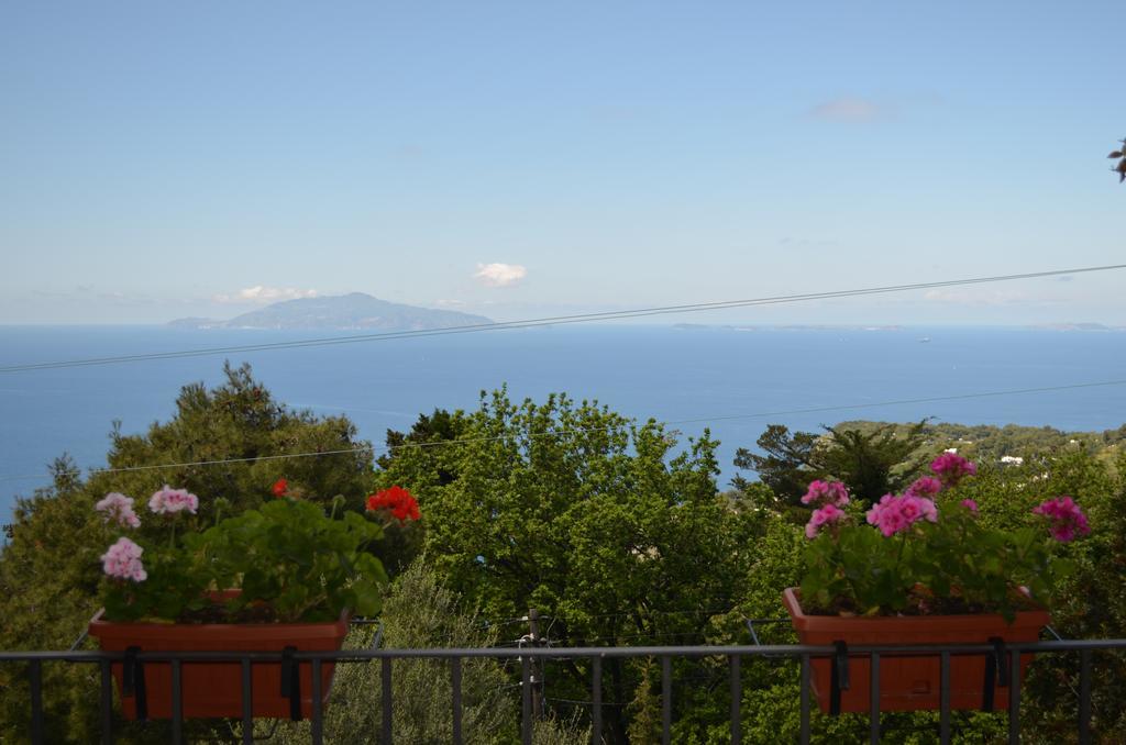 Le Ginestre Di Capri Bb & Holiday House Anacapri  Ngoại thất bức ảnh