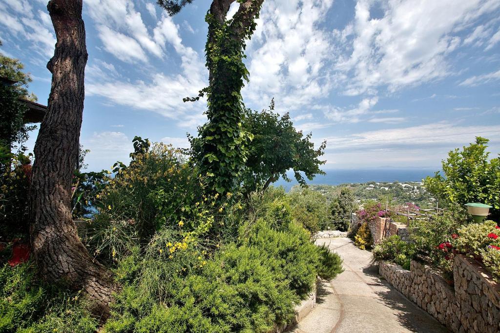 Le Ginestre Di Capri Bb & Holiday House Anacapri  Ngoại thất bức ảnh