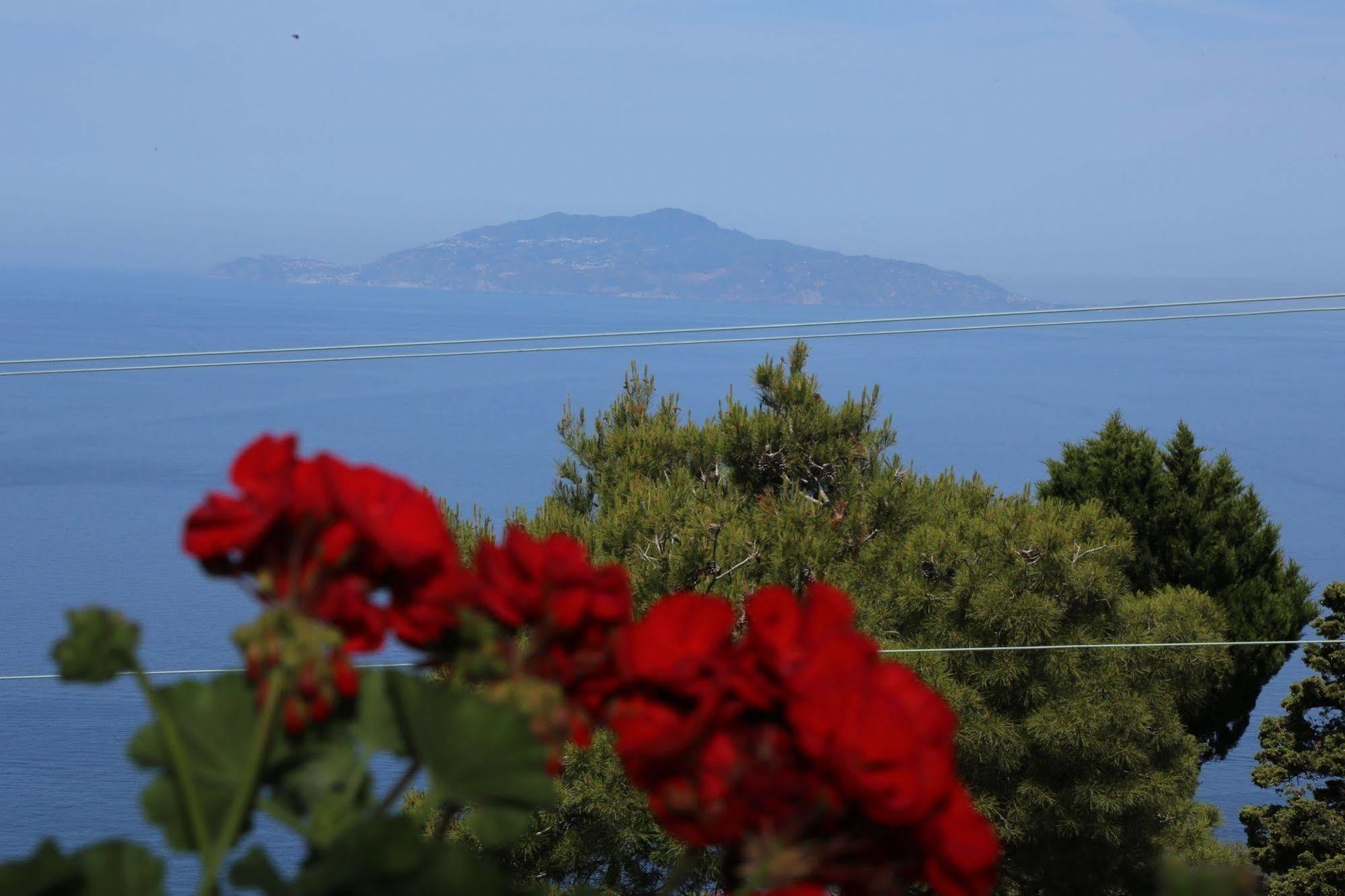 Le Ginestre Di Capri Bb & Holiday House Anacapri  Ngoại thất bức ảnh